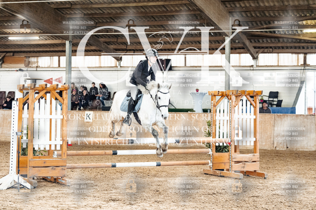 CK904819 | Turnierfotografie Pferdefotografie Trier Rheinland-Pfalz Pferdesport Reitsport Tierfotografie Sportfotografie Pferdevideo Pferdevideografie Equestrianvideography equestrianphotography  - Realisiert mit Pictrs.com