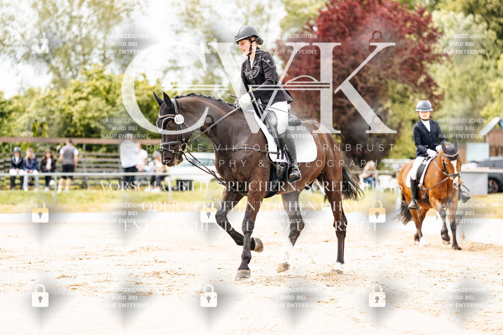 CK902736 | Turnierfotografie Pferdefotografie Trier Rheinland-Pfalz Pferdesport Reitsport Tierfotografie Sportfotografie Pferdevideo Pferdevideografie Equestrianvideography equestrianphotography  - Realisiert mit Pictrs.com