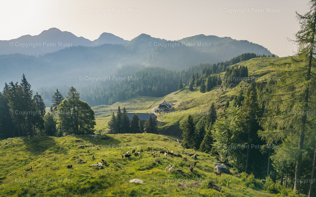 Karnische_Milchstrasse_2024_LC-7 | piet_flosse