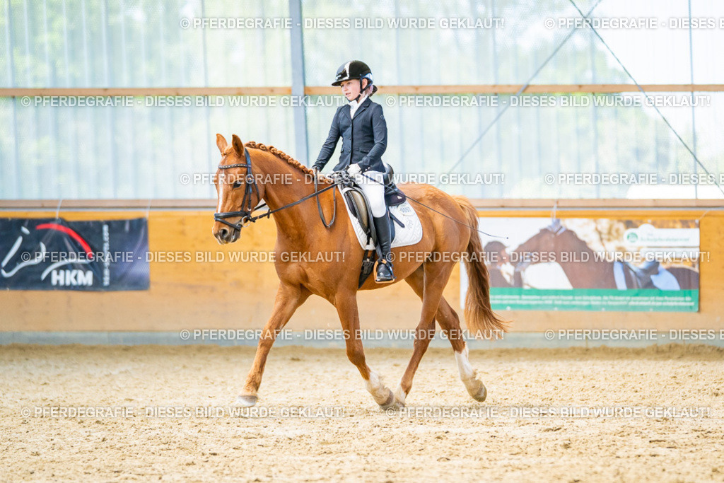 DSC08351 | Pferdegrafie