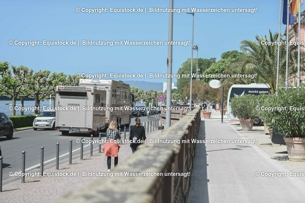 D78_2893 | equistock