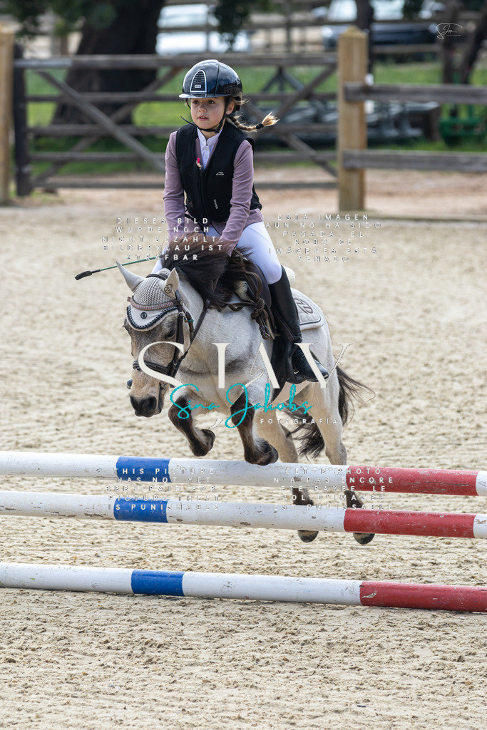 IMG_4706 | s-jay-photography - Realisiert mit Pictrs.com