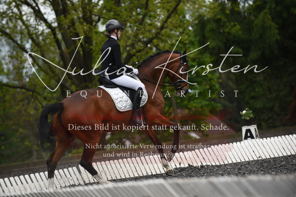 20230513_JK-Röhrsdorf-16-106 | Pferde- und Turnierfotografie in Westsachsen. Pferdeportraits, Auftragszeichnungen und intuitive Kunst.