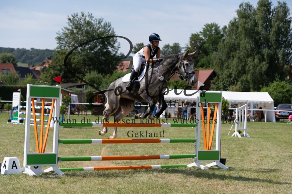 A7V01685 | Pferdefotograf