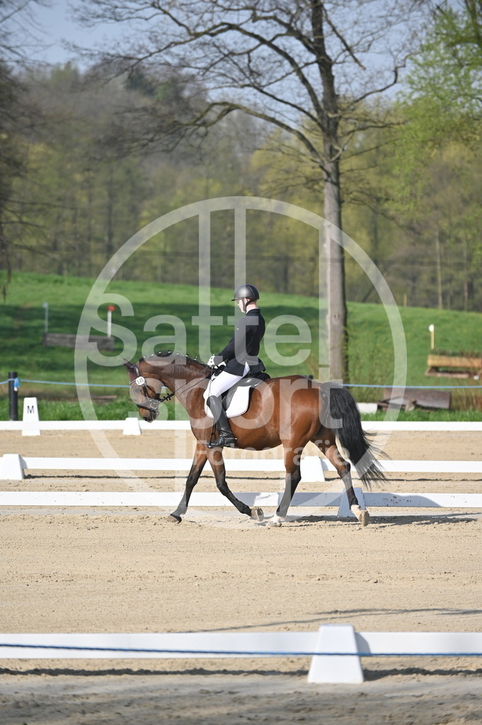 DSC_0091 | sattelsport - Realisiert mit Pictrs.com