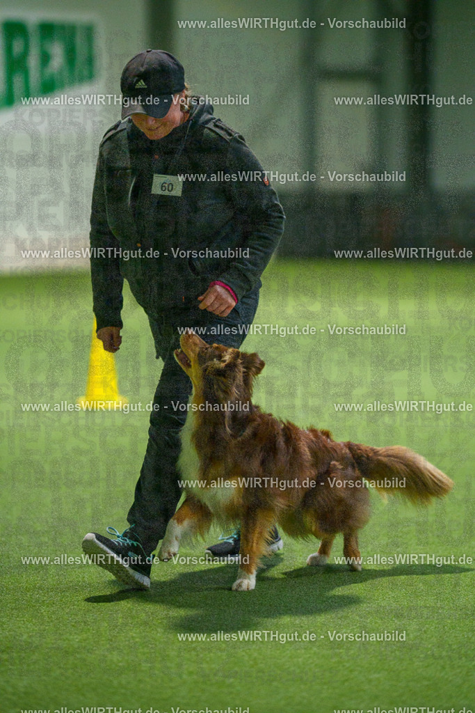 7R507256 | Professionelle Tierfotografie in Mönchengladbach von Daniel Wirth (allesWIRTHgut). Liebevolle & natürliche Bilder von Hunden & Katzen für unvergessliche Erinnerungen.