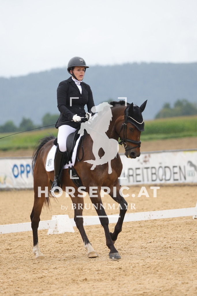 0P6A0556 | Willkommen bei Brunnmayr - Design & Fotografie – Ihrem Spezialisten für Reitturniere und Pferdeveranstaltungen in Oberösterreich, Salzburg und Bayern! Seit über 17 Jahren sind wir leidenschaftlich dabei.