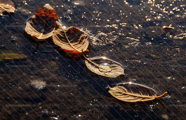 IMG_8821 | Fotograf Leipzig für Hochzeiten, Familienfeste & Porträts. Persönlich, ehrlich & echt – Emotion im Fokus. Jetzt Fotoshooting bei Holzmannphotos buchen!