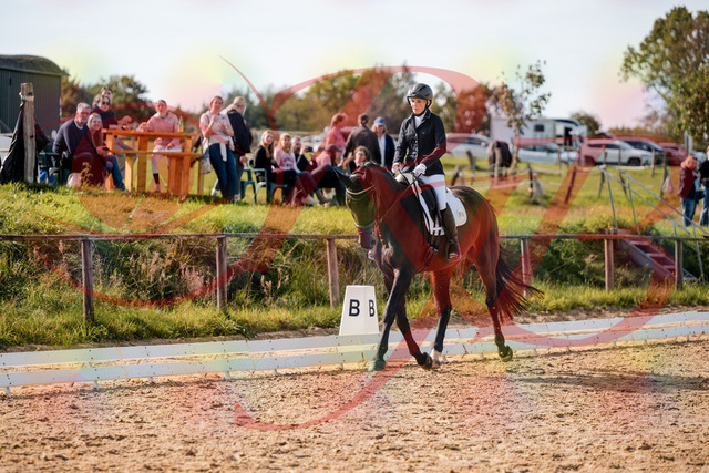 2026_10_03_Siefer-Hof_133449_Z63_93423566 | Professionelle Reitsport-, Turnier- und Eventfotografie von Robert Broda. Galerien mit ausgewählten und bearbeiteten Bildern direkt online ansehen und bestellen.