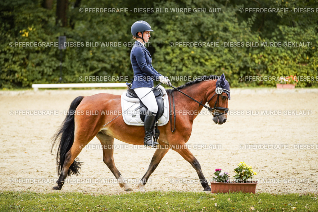 DSC00283 | Pferdegrafie