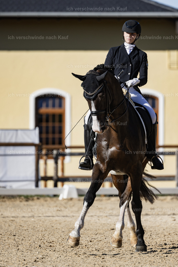 FHC2026_P09_4_18797 | Fichtenhof Classics 2026 – Grand Prix de Dressage - VOLTAIRE Design Preis, Reitanlage Fichtenhof, Sch ftlarn