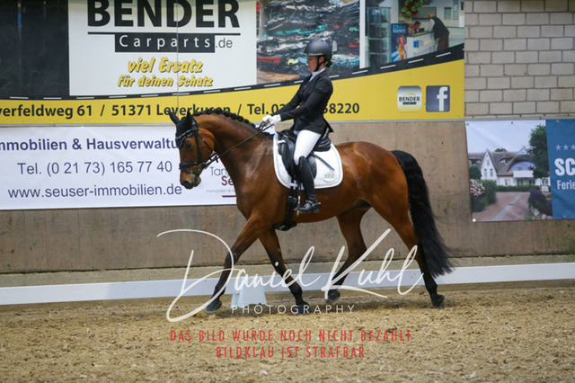 IMG_2816 | Turnierfotos kaufen im Webshop von Daniel Kuhl Photography – entdecke professionelle Reitsportfotos aus Turnieren & Events. Hochwertige Turnierbilder online bestellen & sichern. Jetzt Fotos von Reitsportturnieren kaufen!