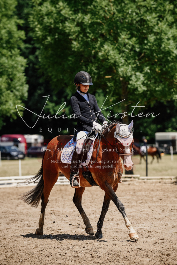 DSC_1937 | Pferde- und Turnierfotografie in Westsachsen. Pferdeportraits, Auftragszeichnungen und intuitive Kunst.