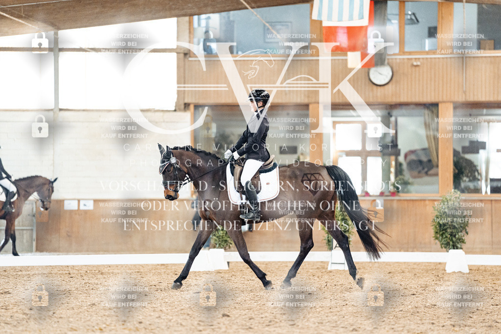 CK908298 | Turnierfotografie Pferdefotografie Trier Rheinland-Pfalz Pferdesport Reitsport Tierfotografie Sportfotografie Pferdevideo Pferdevideografie Equestrianvideography equestrianphotography  - Realized with Pictrs.com
