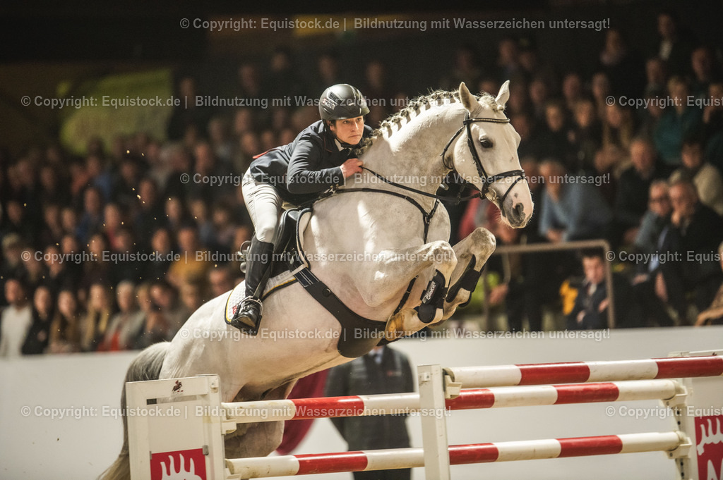 20240302_Hengstvorstellung_Marbach_TOMsPiC_1411-2 | equistock
