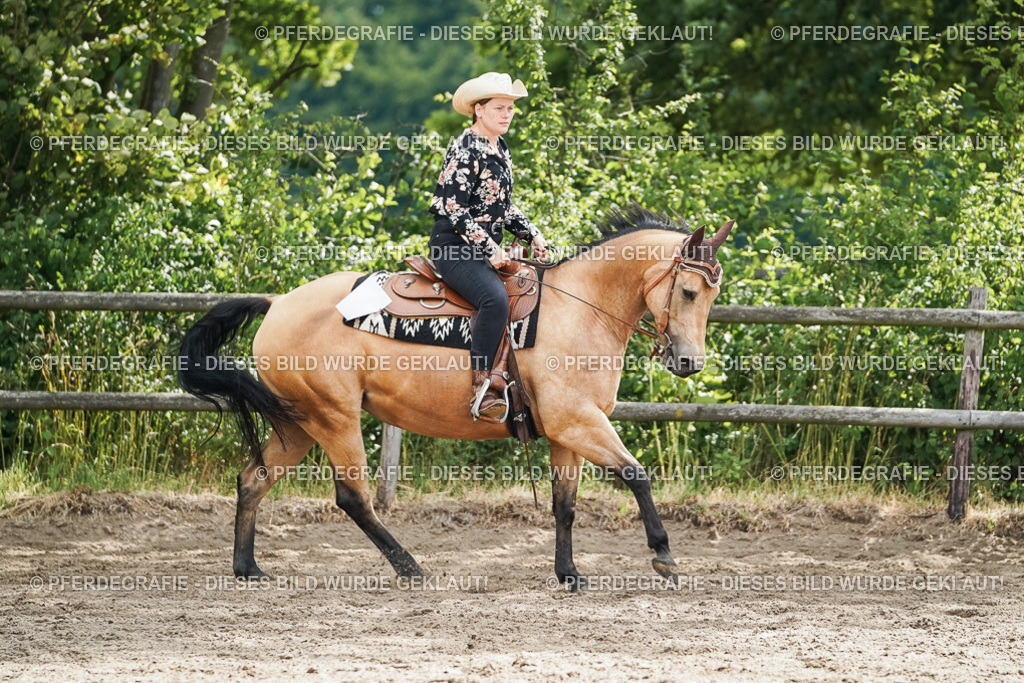 DSC04182 | Pferdegrafie