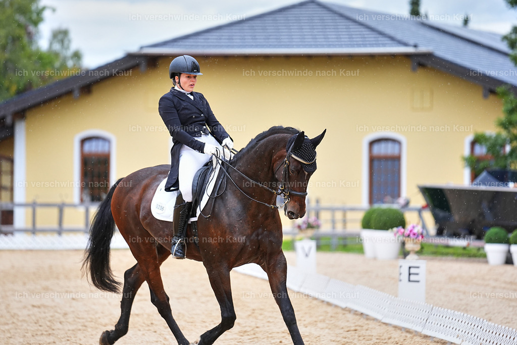 8_1-206-Klasse S_  -Marixx-4241 | working equitationturnier fotograf videograf stoibphotography marixx film working equitation deutschland reitsport turnierfotografie eventfotografie equestrian events