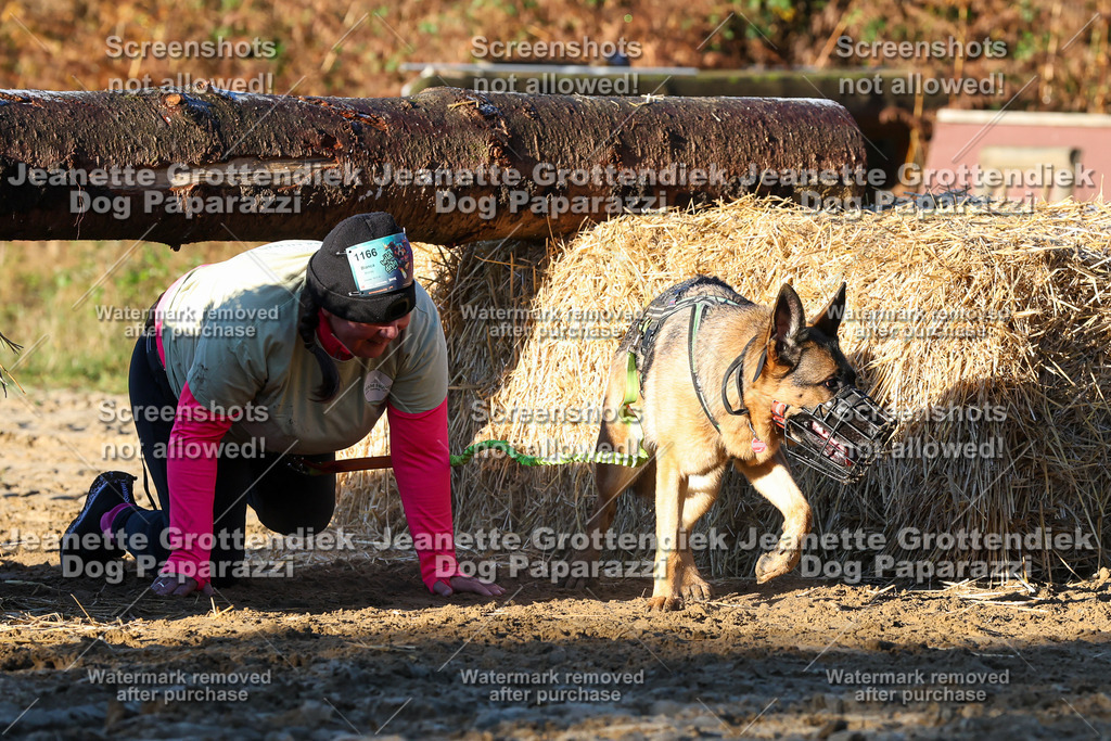 Dog Paparazzi - Strongdog 10-25-900 | Dog Paparazzi Jeanette Grottendiek Fotografie & Videografie - Realisiert mit Pictrs.com