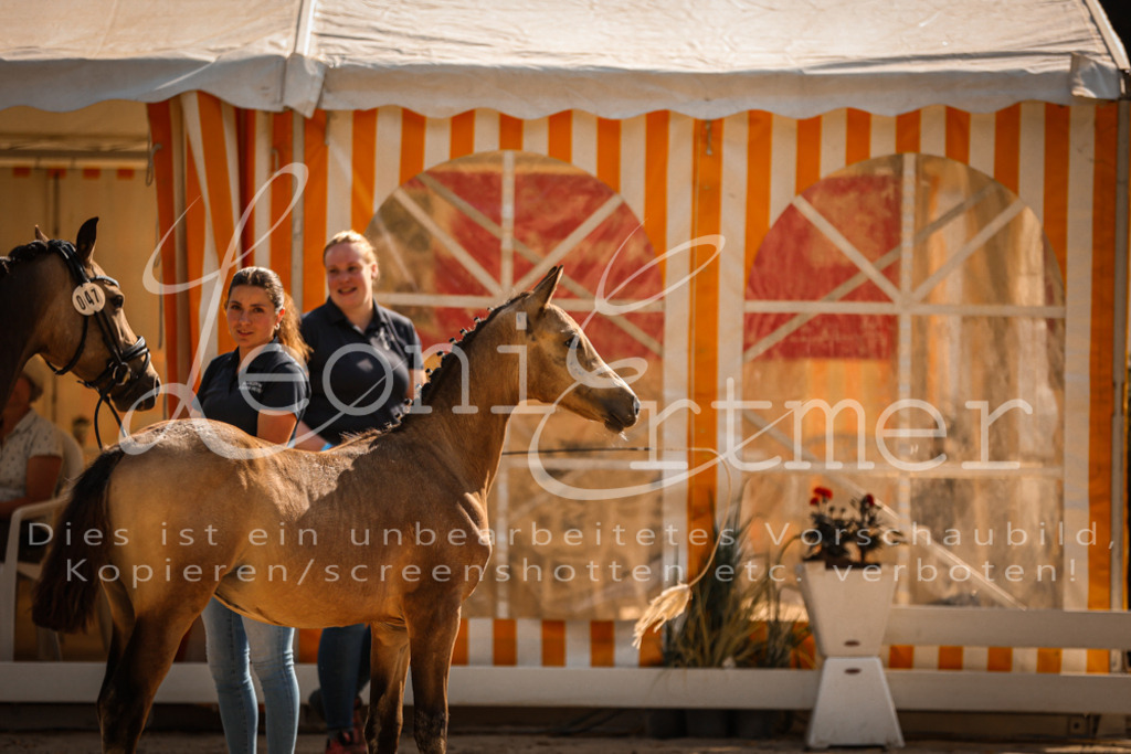 11.DoRP00005 | Leoni Ertmer Photography - Realisiert mit Pictrs.com