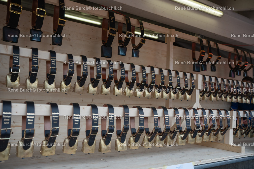 RB_03615 | René Burch leidenschaftlicher Fotograf aus Kerns in Obwalden.  Hier finden sie Sport, Landschaft und Natur Fotografie.
 - Realisiert mit Pictrs.com