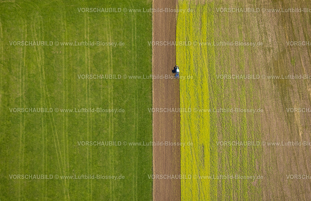 Schmallenberg220903652BadFredeburg | , Luftbild, Feldarbeit, Traktor, Ernetearbeiten, landwirtschafltiche Arbeit, Formen und Farben, Wormbach, Schmallenberg, Sauerland, Nordrhein-Westfalen, Deutschland