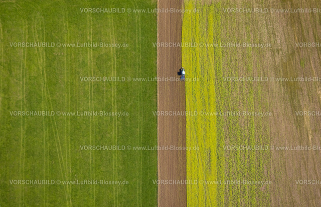Schmallenberg220903652BadFredeburg | , Luftbild, Feldarbeit, Traktor, Ernetearbeiten, landwirtschafltiche Arbeit, Formen und Farben, Wormbach, Schmallenberg, Sauerland, Nordrhein-Westfalen, Deutschland