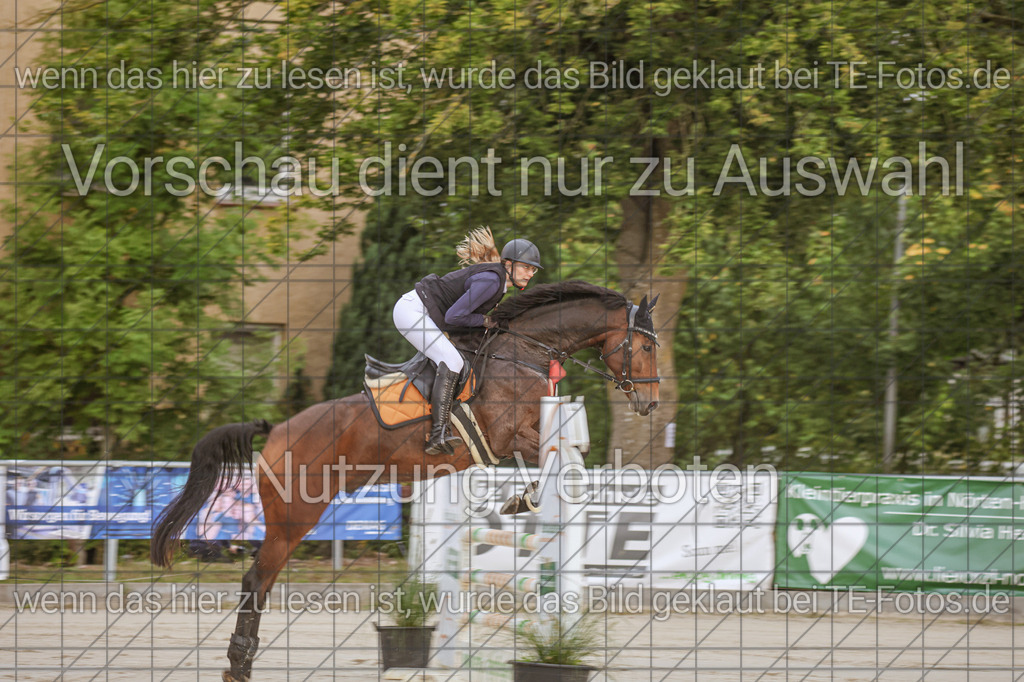 2025-09-22_09-33-18_MG_3437 | TE-Fotos