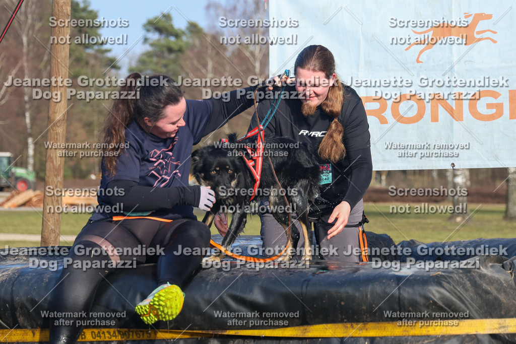 Dog Paparazzi - Strongdog North Mrz26-3555 | Dog Paparazzi Jeanette Grottendiek Fotografie & Videografie - Realisiert mit Pictrs.com