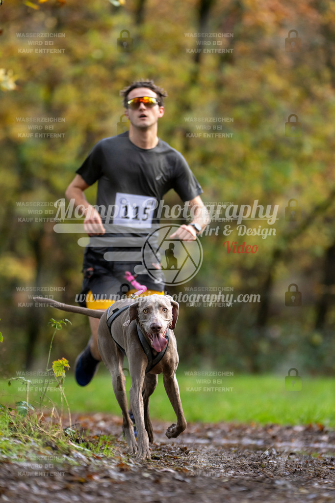 MompixPhotography_Bischwiller23_Canicross-90 | PayLife