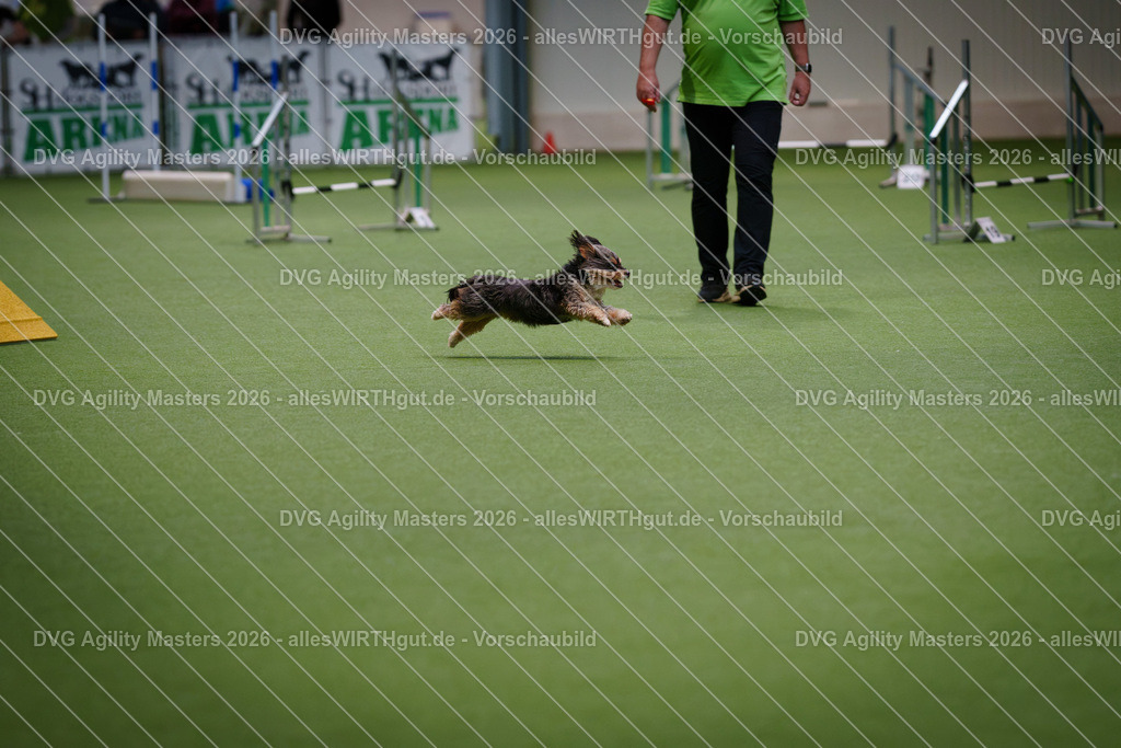 allesWIRTHgut_Tierfotografie-DVG_Agility_Masters_2026-13_57-7R500293 | Professionelle Tierfotografie in Mönchengladbach von Daniel Wirth (allesWIRTHgut). Liebevolle & natürliche Bilder von Hunden & Katzen für unvergessliche Erinnerungen.