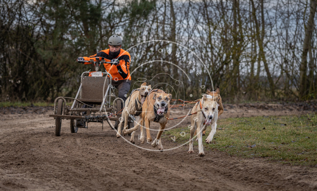 Pfotenfotografie_DV3A6003 | Hundefotografie, Tierfotograf, Pfotenfotografie, Fotoshooting Hund, Hunde Portrait, Hundesport, Hundeportraits, Heideshooting, Hunde, Sportfotograf, Hundefotograf, Turnierhundsport, THS,  - Realisiert mit Pictrs.com