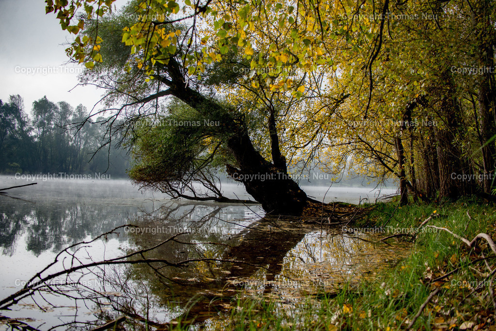 Biedensand-10 | ,, Bild: Thomas Neu