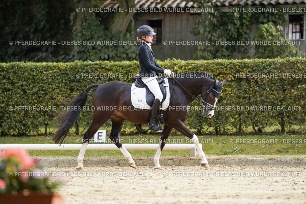 DSC04985 | Pferdegrafie