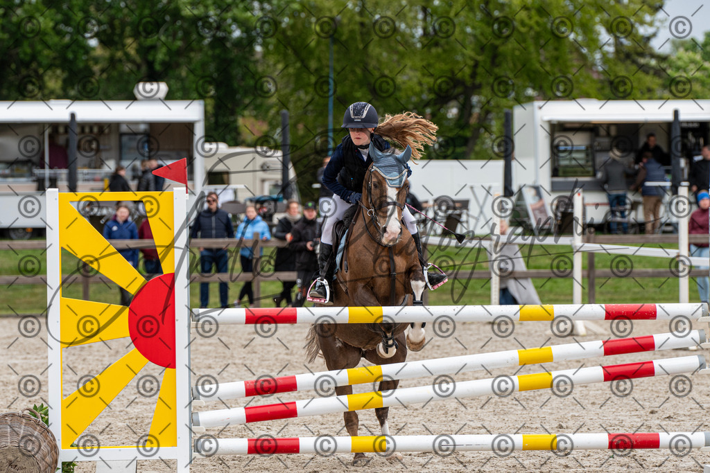 KPT_8224 | andre_photographic