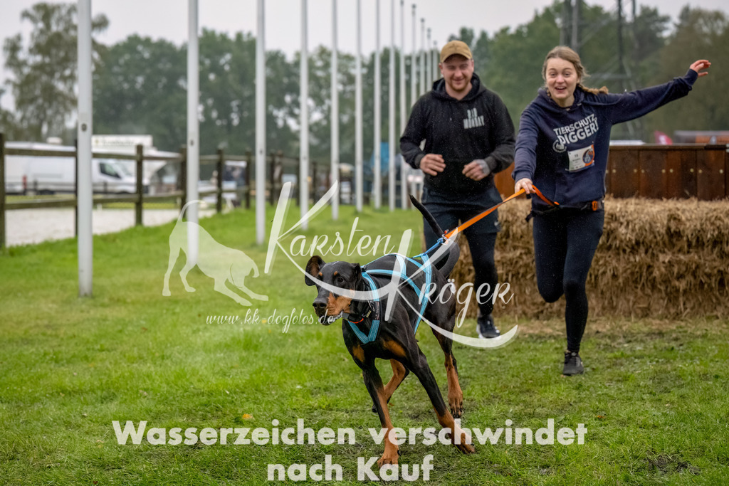 1017--14 | kk-dogfotos