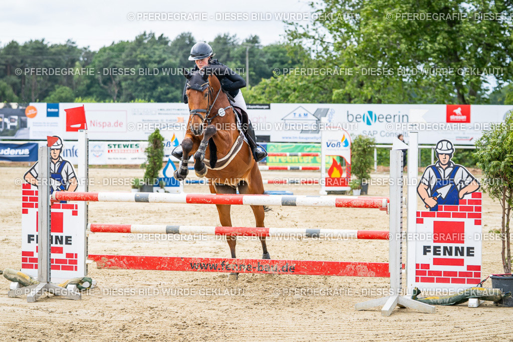 DSC05218 | Pferdegrafie