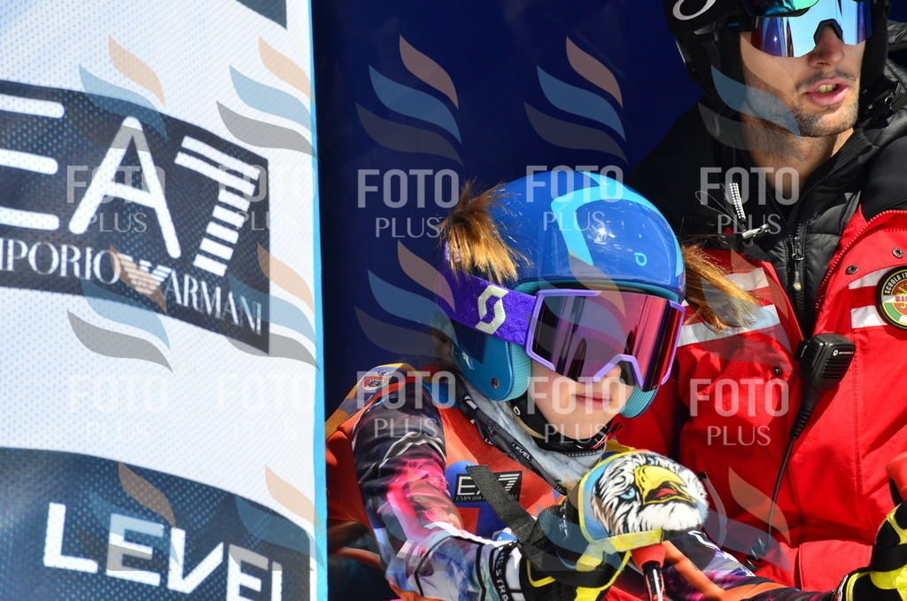 _ELE0933 | holidayphoto