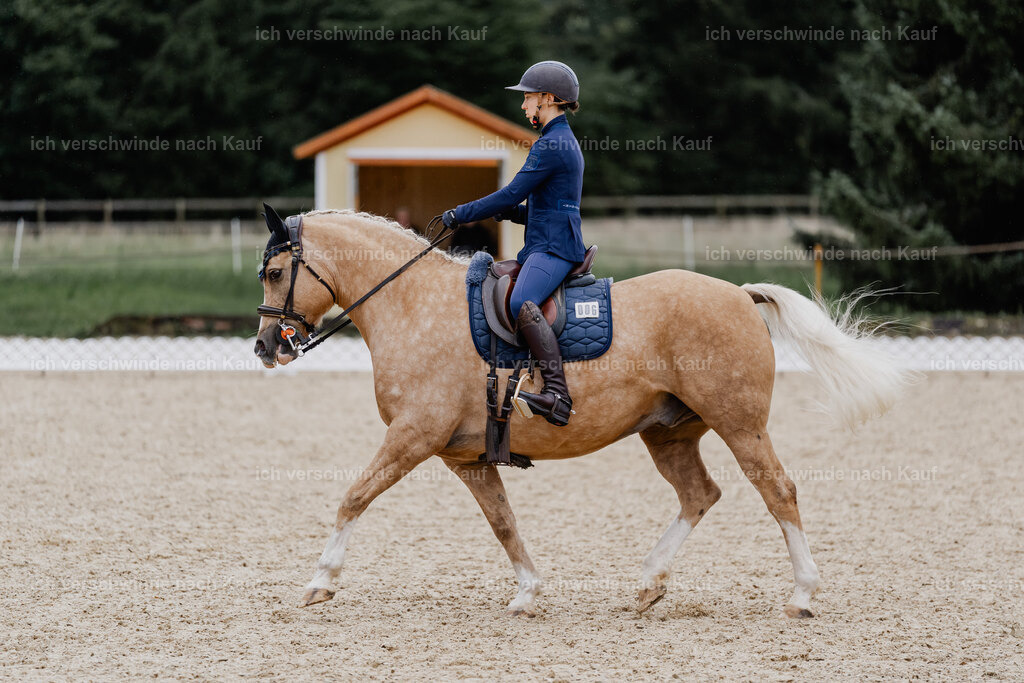 Nici11_FHC2025-8246 | working equitationturnier fotograf videograf stoibphotography marixx film working equitation deutschland reitsport turnierfotografie eventfotografie equestrian events