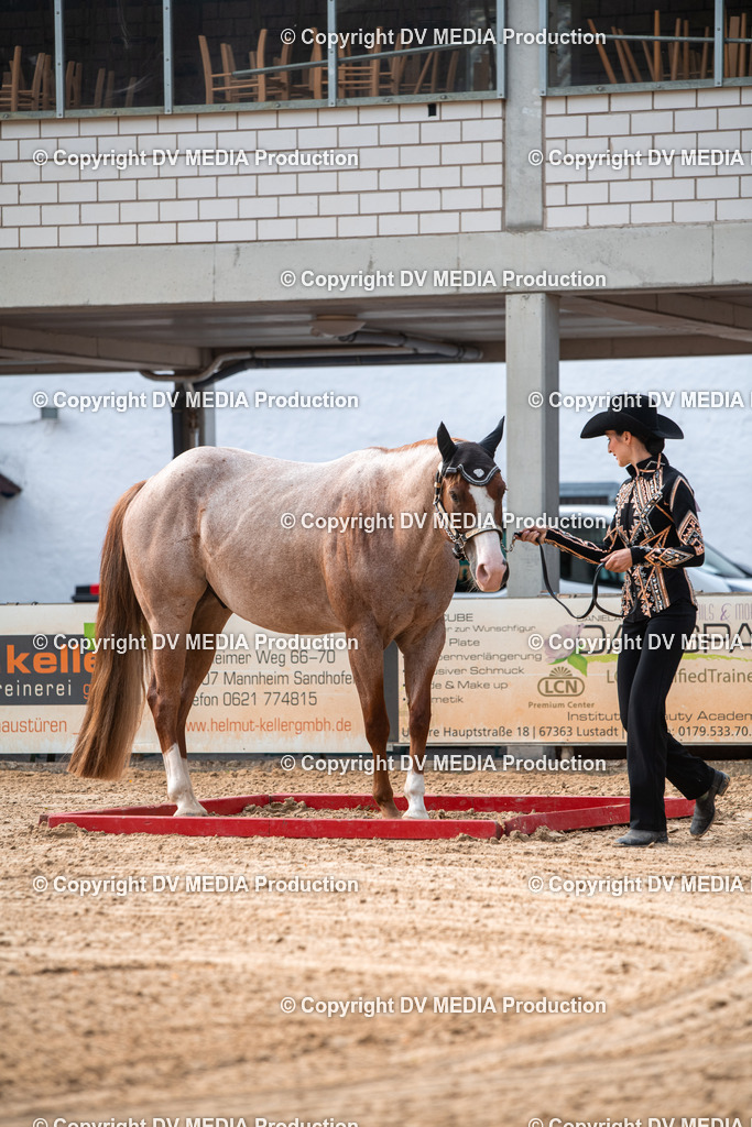 EWP_5614 | dv-media-shop - Realisiert mit Pictrs.com