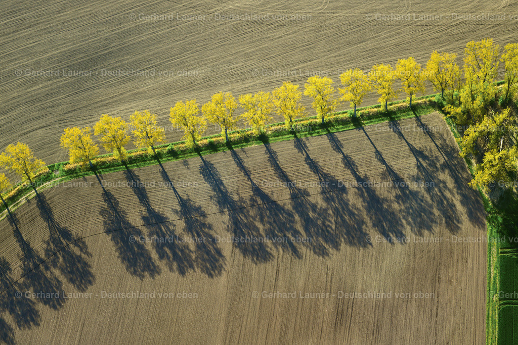 3600677 | Baumstrukturen bei Wiesenbronn