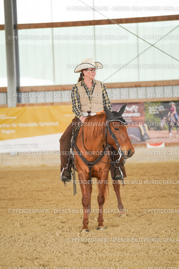 DSC03274 | Pferdegrafie