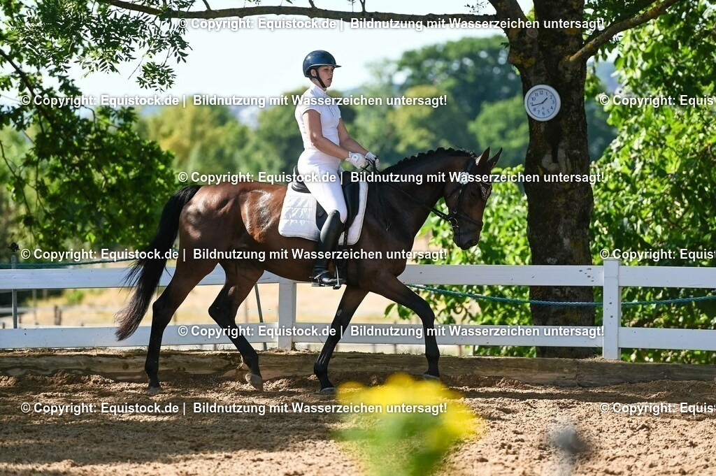 20230715_06_Dressurpferdeprfg. Kl.A_0274 | equistock