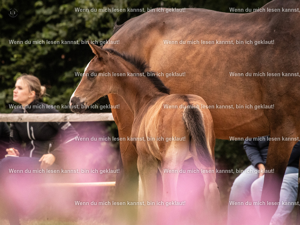 A10I3781 15.58.11 | photographylinaismer - Realisiert mit Pictrs.com