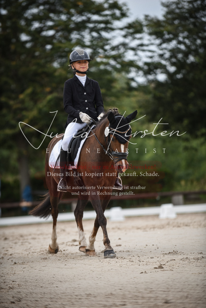 DSC_8116 | Pferde- und Turnierfotografie in Westsachsen. Pferdeportraits, Auftragszeichnungen und intuitive Kunst.