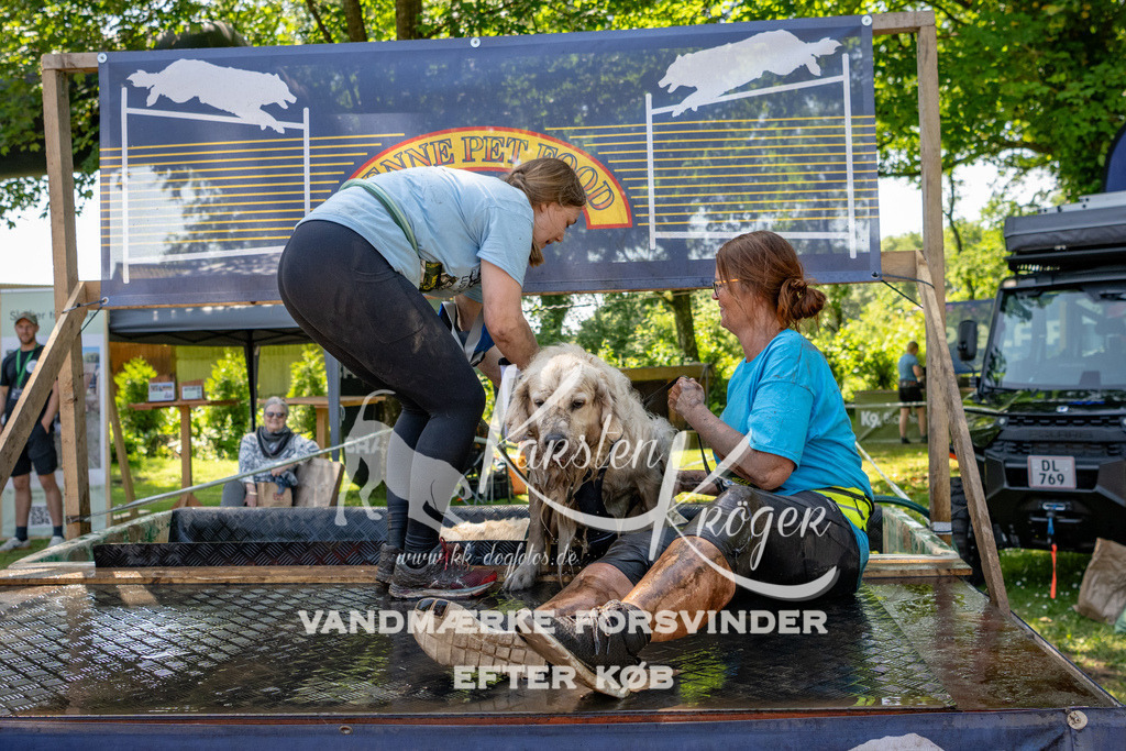 1340_ZZ91813 | kk-dogfotos