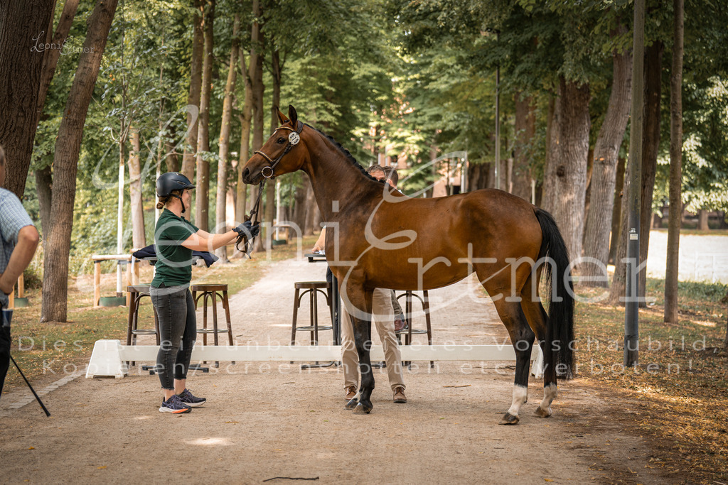 FrPfM00021 | Leoni Ertmer Photography - Realisiert mit Pictrs.com