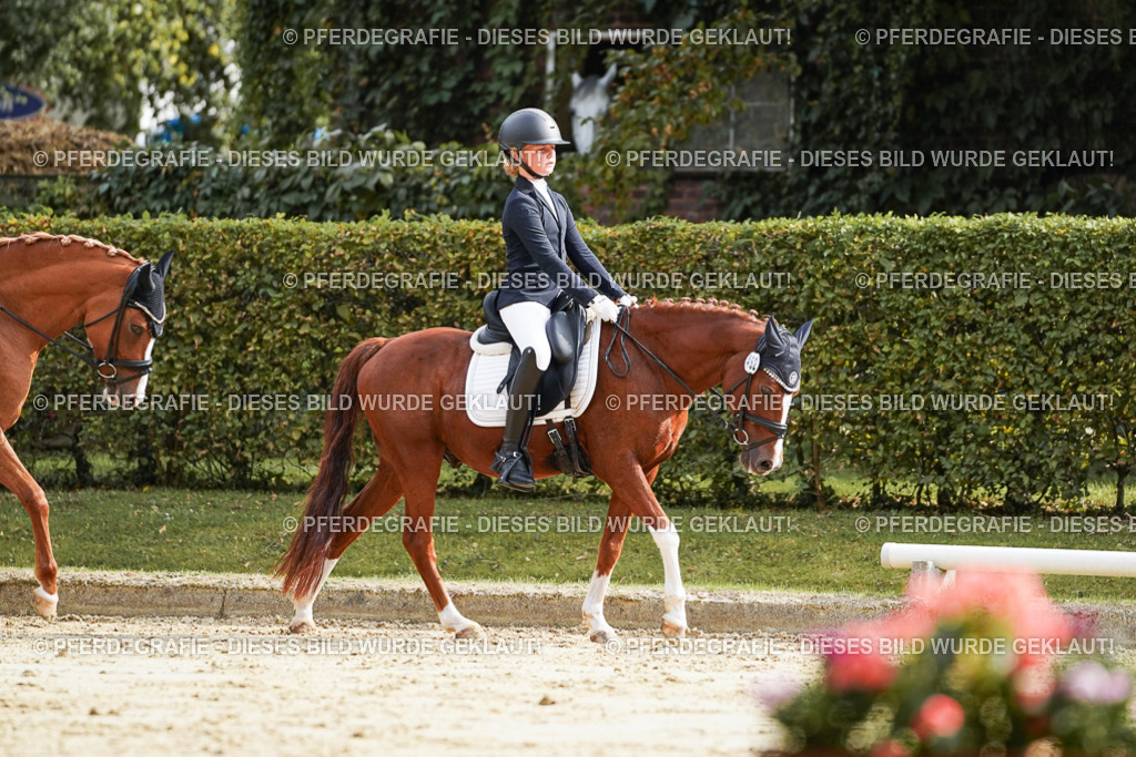 DSC04118 | Pferdegrafie