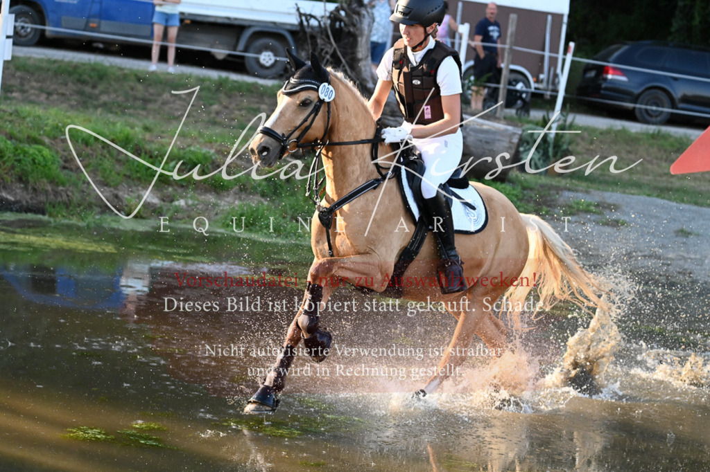 DSC_9250 | Pferde- und Turnierfotografie in Westsachsen. Pferdeportraits, Auftragszeichnungen und intuitive Kunst.