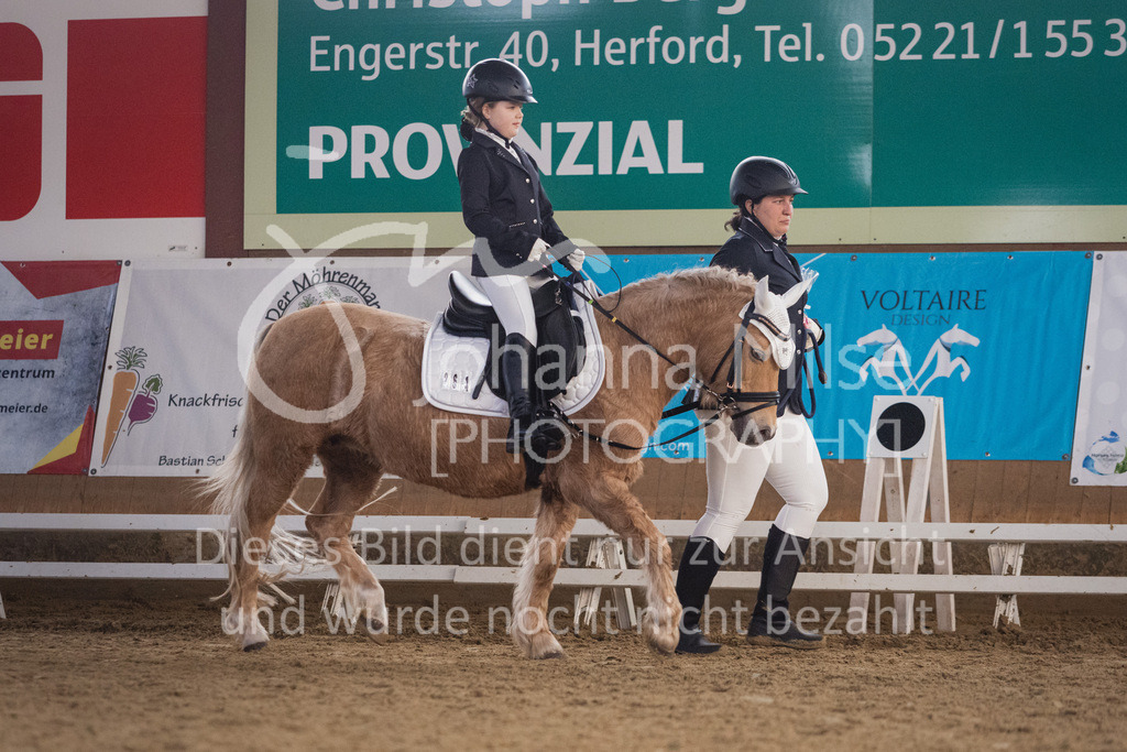 230319_HF-Schwm_Führzügel-240 | Herford-Schwarzenmoor, Dressurtag 2023, Führzügel-WB