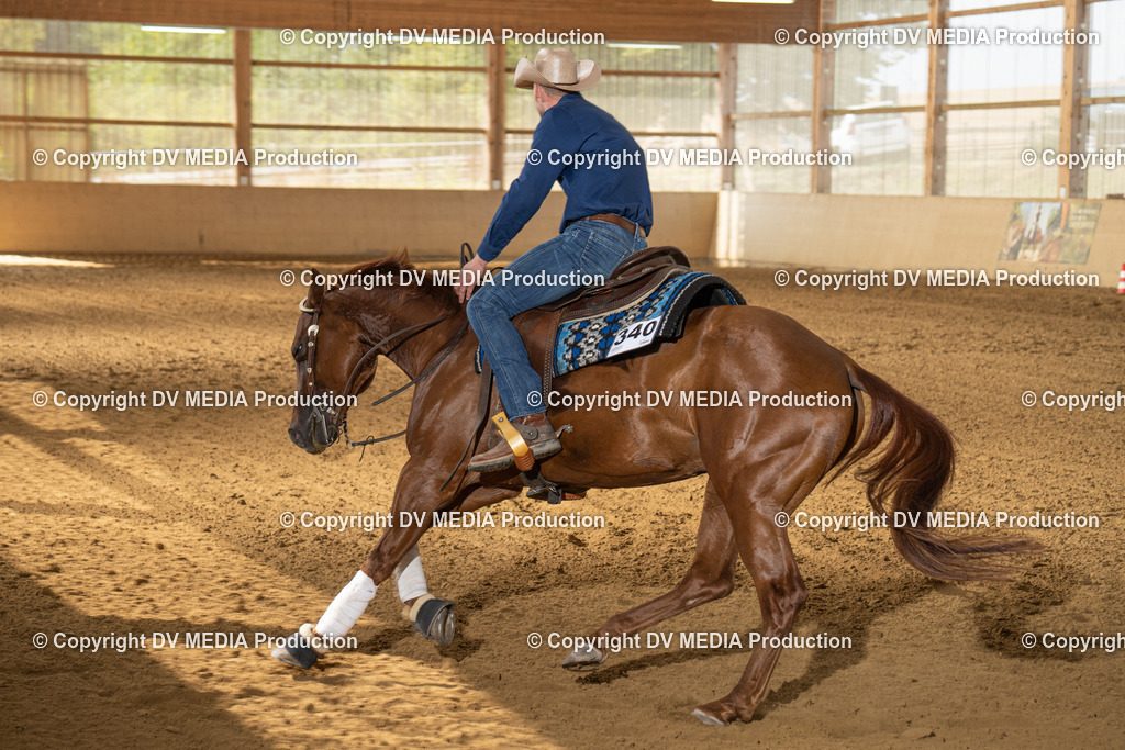 LAU01599 | dv-media-shop - Realisiert mit Pictrs.com